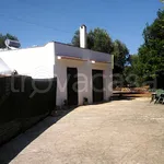 Rent 3 bedroom house of 60 m² in Francavilla Fontana