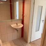 Rent 1 bedroom apartment in Klatovy