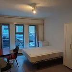 Rent 1 bedroom apartment in Leuven