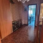 Rent 2 bedroom apartment of 90 m² in Roma