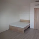 Rent 1 bedroom apartment of 30 m² in Brno