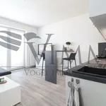 Rent 1 bedroom apartment of 35 m² in České Budějovice