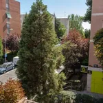 Rent a room of 70 m² in madrid