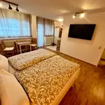 Miete 1 Schlafzimmer wohnung von 35 m² in Heidelberg