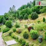 Rent 3 bedroom apartment of 74 m² in Jáchymov