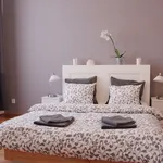 Rent 1 bedroom apartment in Prague