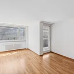 Miete 3 Schlafzimmer wohnung in Basel