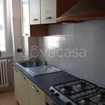 Rent 1 bedroom apartment of 45 m² in Rho