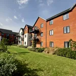 Rent 2 bedroom flat in Basingstoke and Deane