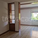 Rent 4 bedroom apartment of 200 m² in San Nicola la Strada