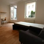 Rent 1 bedroom apartment in Brno