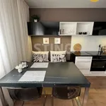 Rent 3 bedroom apartment of 77 m² in Ostrava