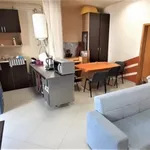 Rent 1 bedroom apartment of 19 m² in Pécs