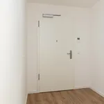 Rent 1 bedroom apartment of 53 m² in Berlin