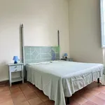 Rent 2 bedroom apartment of 35 m² in Pisa