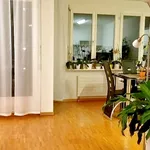 2½ room apartment in Dübendorf (ZH), furnished