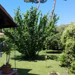 Rent 4 bedroom house of 115 m² in Forte dei Marmi