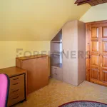 Rent 1 bedroom apartment of 25 m² in Pardubice