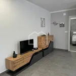 Rent 2 bedroom apartment of 65 m² in Split