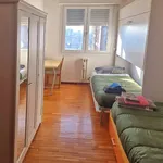 Rent 3 bedroom apartment of 110 m² in Milano