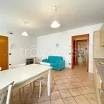 Rent 2 bedroom apartment of 48 m² in Brendola