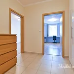 Rent 3 bedroom apartment in Brno