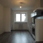 Rent 2 bedroom apartment of 49 m² in Ostrava