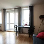 Rent 1 bedroom apartment of 44 m² in Prague