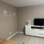 Rent 1 bedroom apartment of 53 m² in Ingolstadt