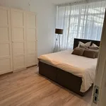 Rent 3 bedroom apartment in Rotterdam