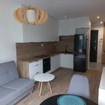 Rent 2 bedroom apartment of 38 m² in Opole Kolonia Gosławicka - okolice Witosa