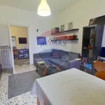 Rent 2 bedroom apartment of 55 m² in Torino