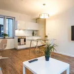 Rent 1 bedroom apartment of 40 m² in cologne