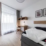 Rent 2 bedroom apartment of 65 m² in Prague