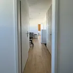 Pronajměte si 2 ložnic/e byt o rozloze 33 m² v Zlín