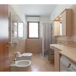 Rent 2 bedroom apartment of 68 m² in Milano