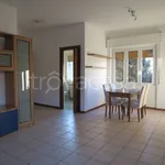 Rent 2 bedroom apartment of 60 m² in Pavia