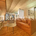 Rent 2 bedroom apartment of 50 m² in Rome