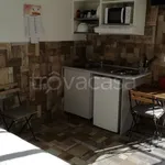 Rent 1 bedroom apartment of 30 m² in Bologna