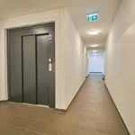 Rent 3 bedroom apartment of 60 m² in Vienna