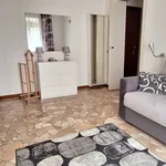 Rent 1 bedroom apartment of 40 m² in Milano