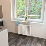 Rent 1 bedroom apartment in Ostrava