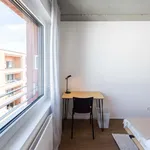 Rent a room of 59 m² in Frankfurt