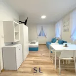 Rent 1 bedroom apartment in Liberec