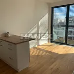 Rent 1 bedroom apartment of 26 m² in Capital City of Prague