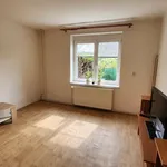 Rent 1 bedroom apartment in Plzeň