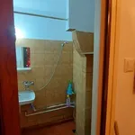 Rent 1 bedroom apartment in Craiova