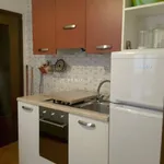 Rent 1 bedroom apartment of 32 m² in Padova