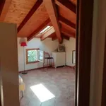 Rent 5 bedroom apartment of 100 m² in Bologna