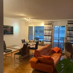 Rent 4 bedroom apartment in Emmen